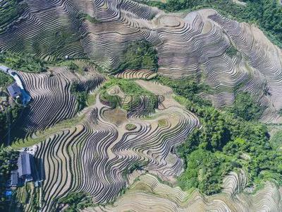 中美印耕地面積對比：美國25億畝印度24億畝中國是多少畝呢(圖3)
