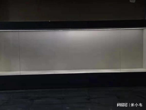 揭秘博物館展柜陳列秘籍：讓你的藏品“活”起來！(圖1)