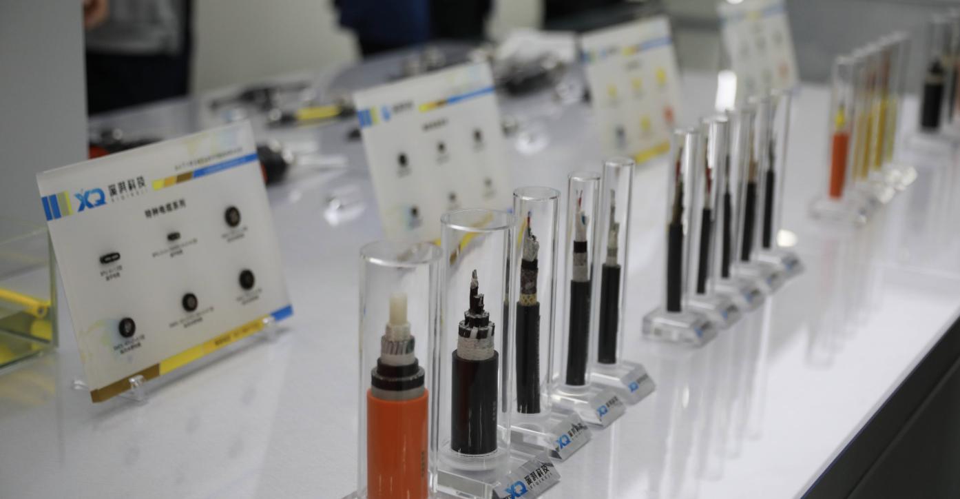 智匯廟行·企業力量丨溪淇科技王曉禹：政府護航企業發展堅定助力建設海洋強國決心(圖2)